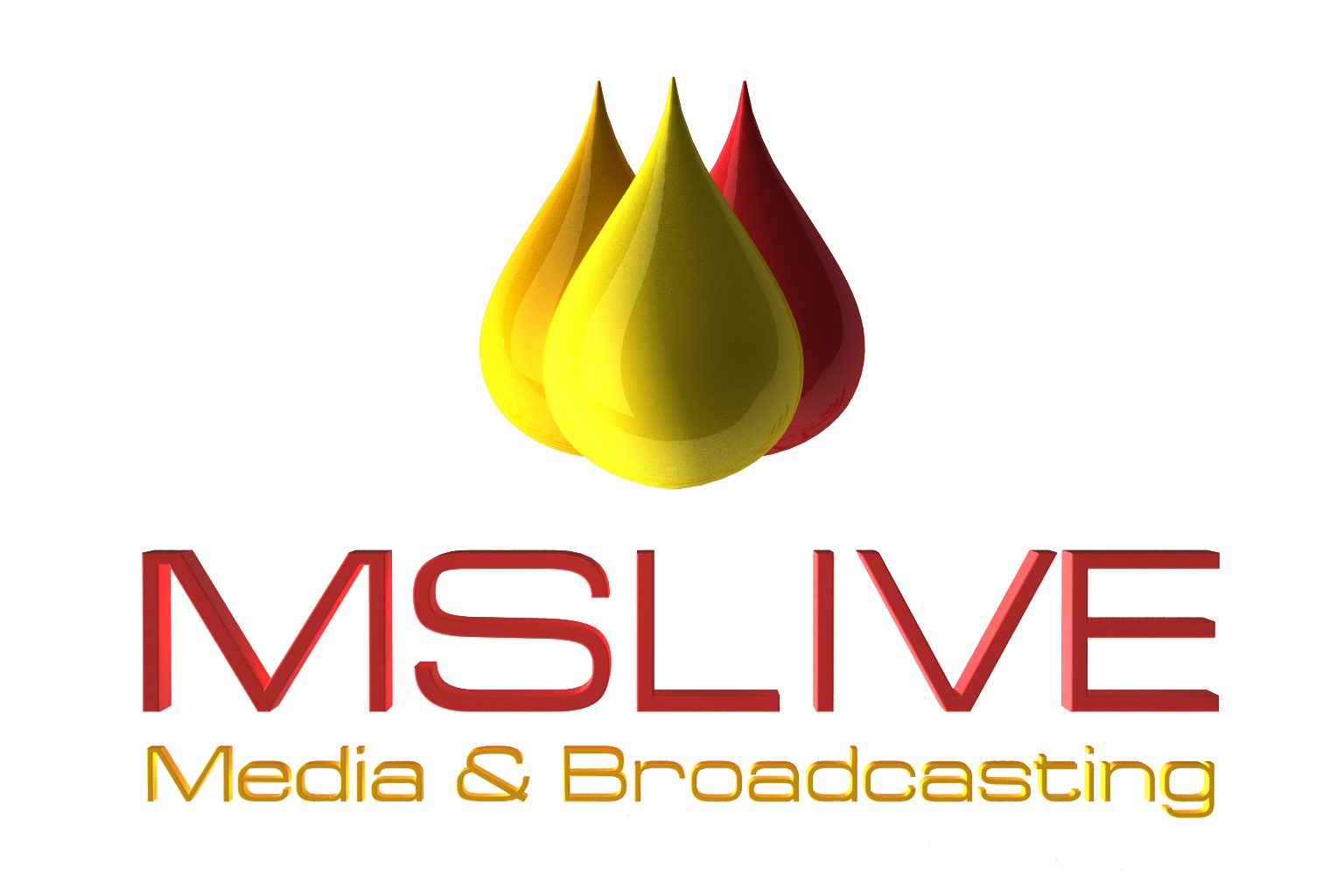 Live Streaming Server provider | Live streaming service provider - MSLIVE