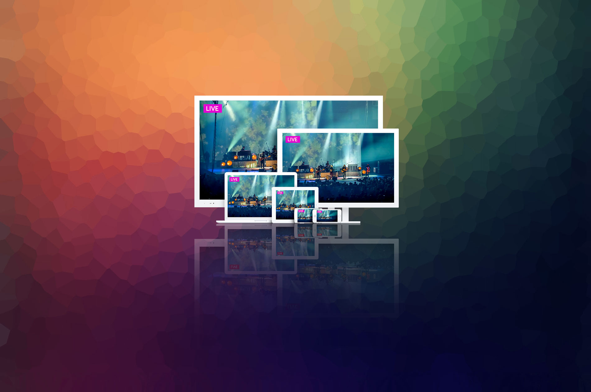 Online Live Webhosting Patna